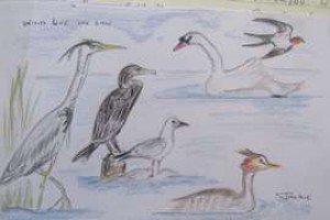 Swallowdale drawings. Hand drawn image of wildlife at Swallowdale holiday home